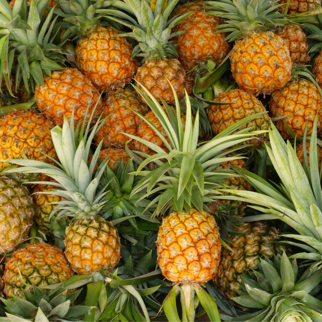 pineapple pineapple